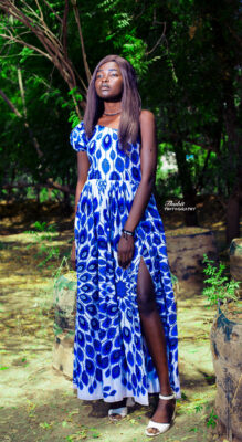 Blue & White Long Dress