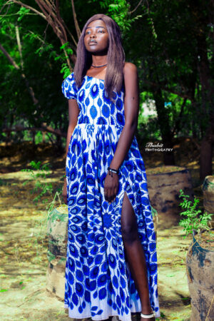 Blue & White Long Dress